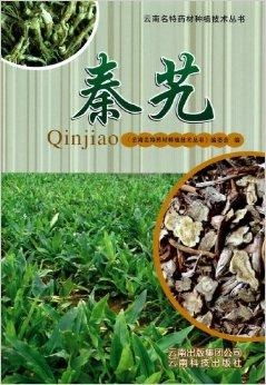 揭秘秦艽种植技术：如何让古老药材焕发新生？