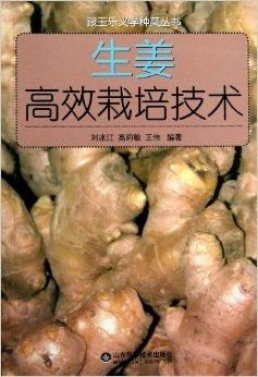 生姜种植管理技术：揭秘高效产量的秘密武器