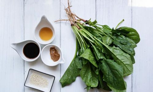 豆苗菜种植技术：揭秘高效益的秘密武器