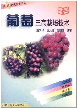 《揭秘葡萄种植奥秘：一本必读的技术指南》