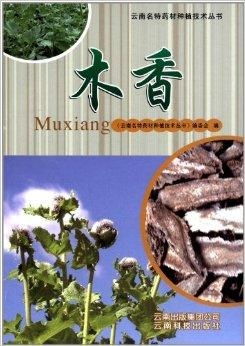 《揭秘木香种植：技术与市场的双赢之道》