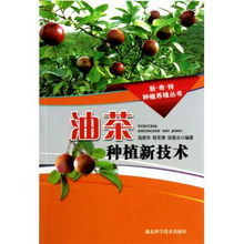 油茶种植新篇章：技术革新助力销路拓展