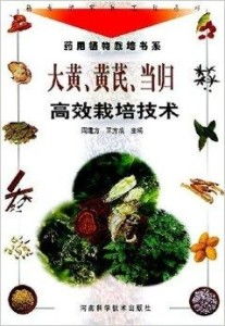 当归种植：技术革新下的产业前景展望
