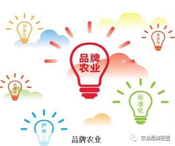 农业品牌营销_农产品品牌与营销_农产品品牌营销