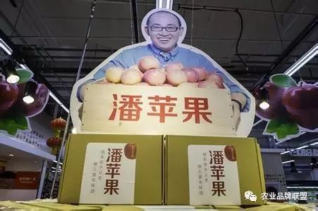 农产品品牌与营销_农产品品牌营销_农业品牌营销
