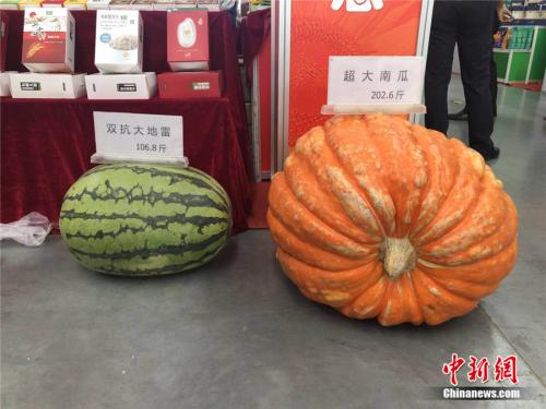 新奇特农产品_新奇农产品_新奇农庄