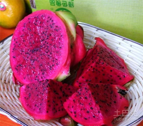 揭秘火龙果种植秘诀：如何打造高产量、高品质的火龙果园？