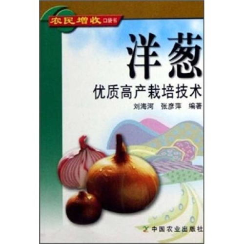 洋葱直播种植，揭秘高产高效新路径