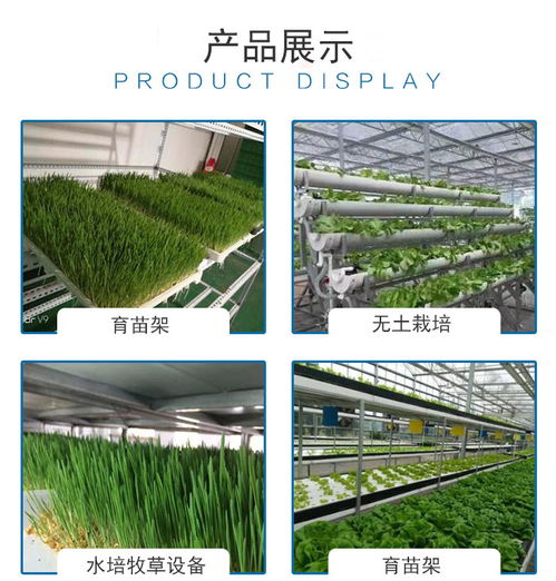 牧草种植技术革新：揭秘高效益的绿色农业之道