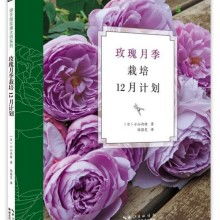 解锁玫瑰种植奥秘：揭秘玫瑰花种植技术培训班