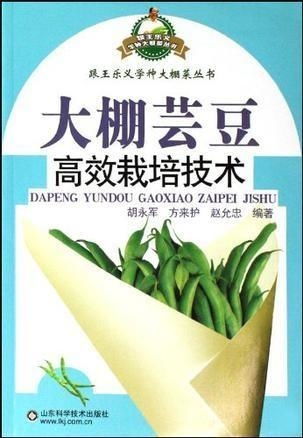 【芸豆种植攻略】揭秘高效种植技术，视频全集助您一跃成为种植高手！