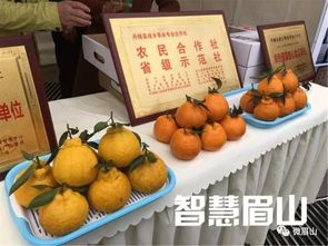 揭秘不知火水果种植技术：如何打造绿色、高效的水果王国？