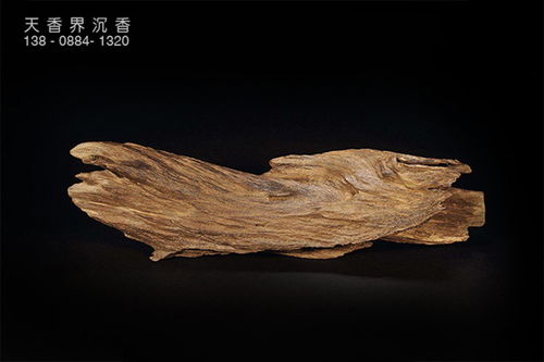 《揭秘沉香种植：探寻古老香木的绿色成长之路》