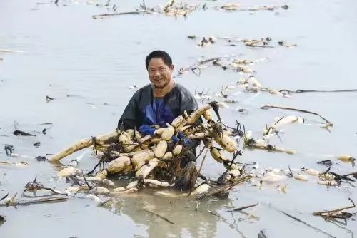 云南农产品品牌_云南优质农产品_2025云南名牌农产品