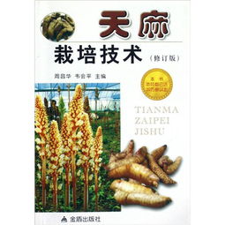 《天麻种植，揭秘绿色财富之路——专家带你走进种植技术天地》