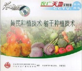 黄芪种植技术揭秘：如何提高产量与品质？