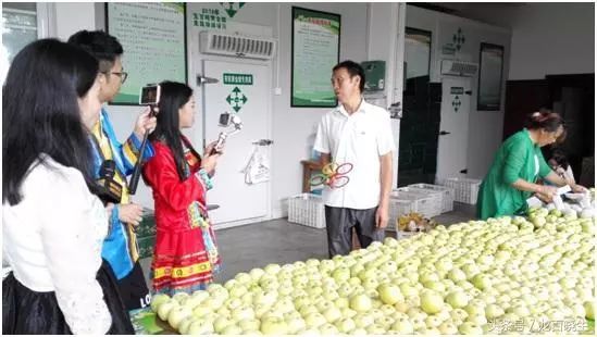 农网信息产品经理招聘_农网资料_农产品信息网