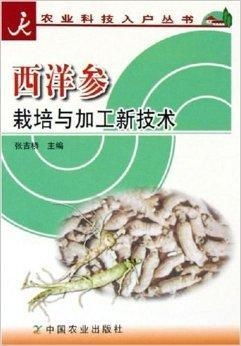 西洋参种植：揭秘高效益的秘密武器