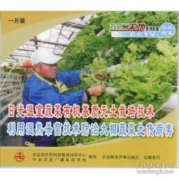 《温室黄瓜种植秘籍：揭秘高效种植技术，助力产量翻倍！》