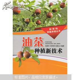 《茶油树种植攻略：如何打造优质油茶林？》