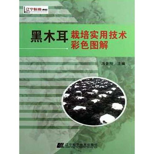 揭秘木耳种植：技术与成本解析，助力从业者迈向成功之路