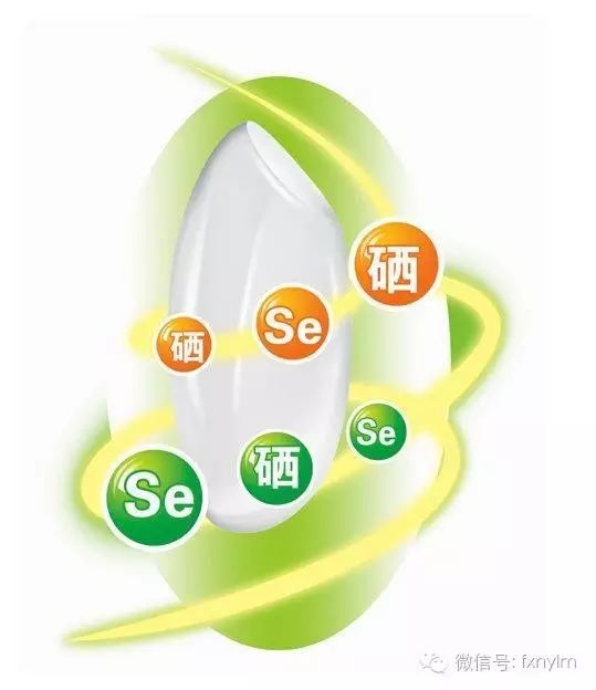 富硒农产品开发_富硒农产品产业链_富硒生态农业