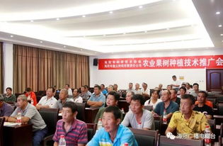 苹果种植技术培训师：揭秘苹果园里的“魔法师”