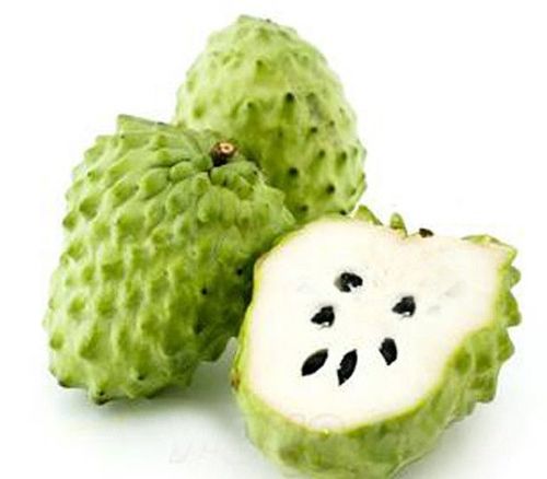 揭秘凤梨释迦种植秘籍：如何打造高品质果品？