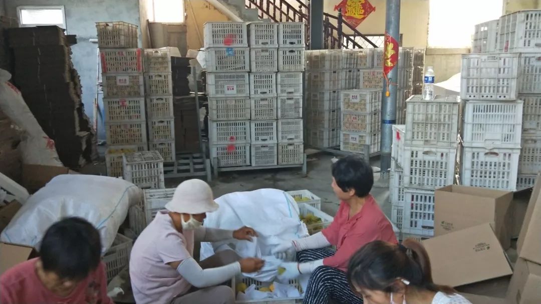 家乡农产品调研问卷_农产品调研问卷问答题_农产品问卷调查结果分析