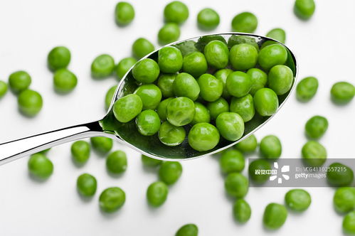 《大青豆种植攻略：把握最佳时机，掌握高效技术，丰收在望！》