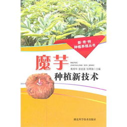 魔芋种植新革命：新技术助力农户致富，揭秘魔芋产业新商机