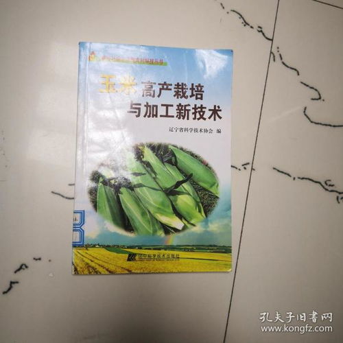 玉米高产种植新突破：揭秘现代农业技术如何提升产量？