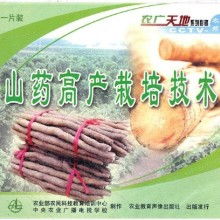 紫淮山药种植技术揭秘：如何提升产量与品质？
