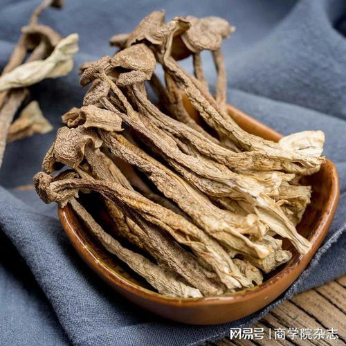 鹿茸菌种植技术揭秘：免费指南助您轻松步入致富之路