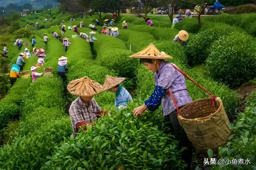 农产品干货批发市场进货渠道_农贸市场干货品种大全_农产品干货批发市场