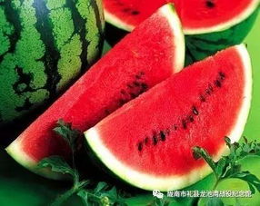 地膜西瓜种植新革命：揭秘高效节水、增产的奥秘