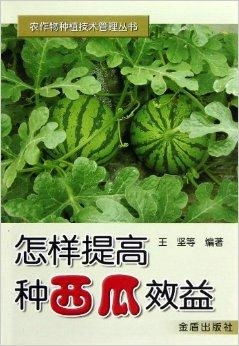 紫苏种植：揭秘古老植物的现代栽培奥秘
