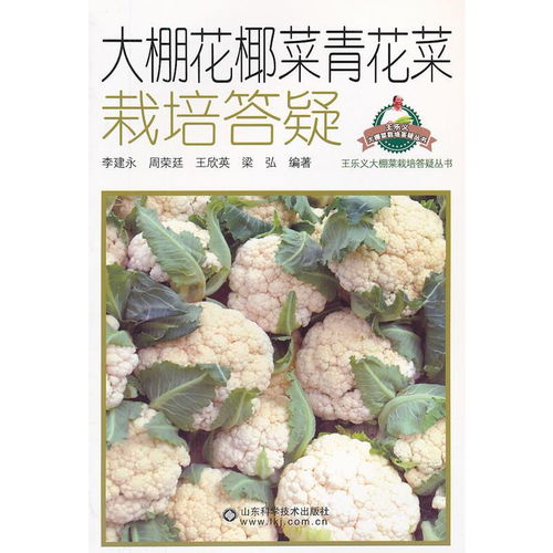 揭秘大棚花菜种植技术：如何实现高产高效？