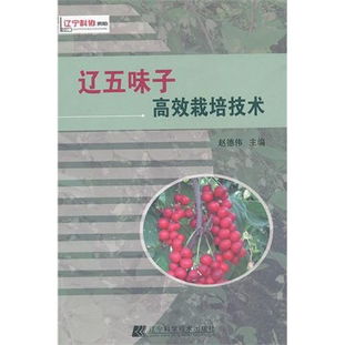 揭秘五味子种植奥秘：高效技术助力产业发展