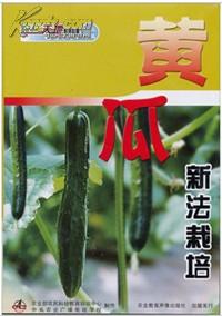 《露天秋黄瓜种植攻略：揭秘高效丰收秘诀》