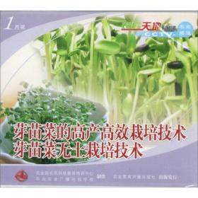 《露天蔬菜种植技术视频：揭秘高效农业的秘密武器？》