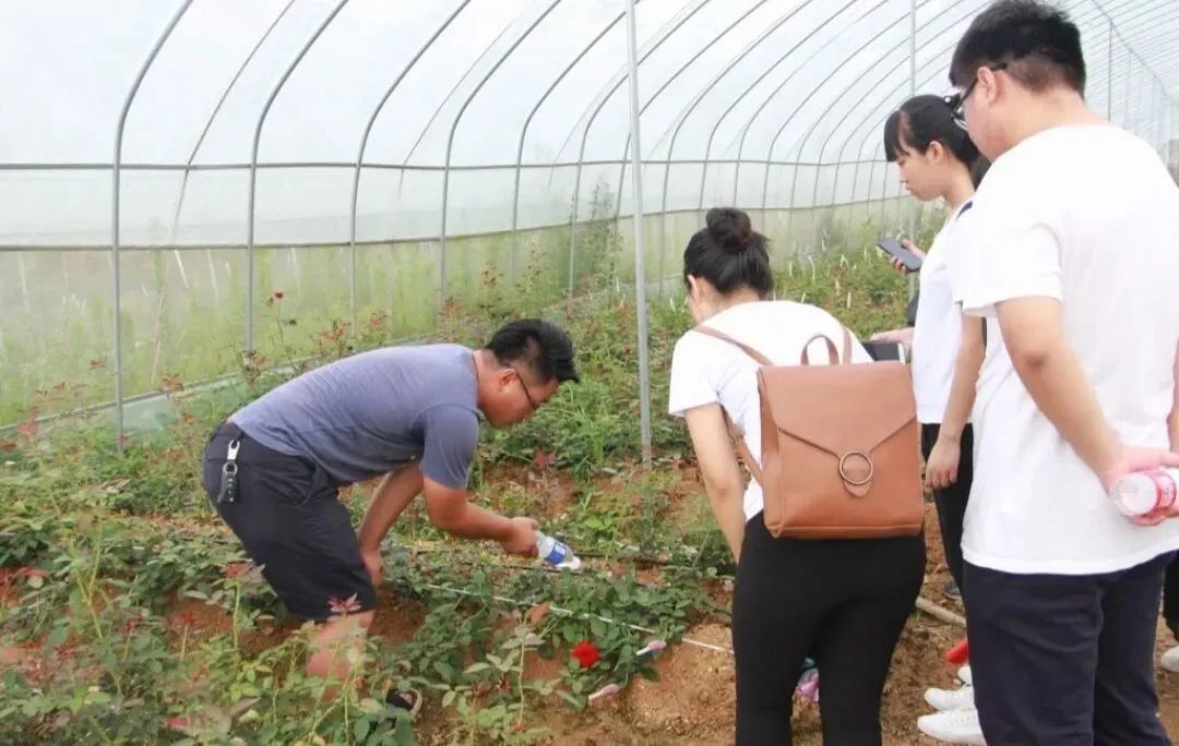 电商扶贫调查问卷_贫困地区农产品电子商务发展调查问卷_农村电子商务问卷调查