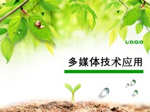 《揭秘有机蔬菜种植技术：迈向绿色健康的农业革命之路》