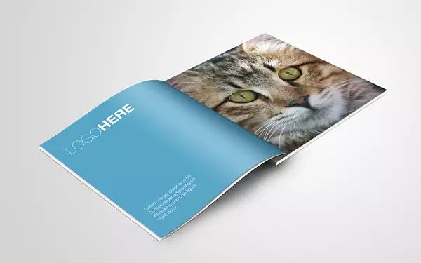 宣传册尺寸选择：多种常规规格及适用场景大揭秘