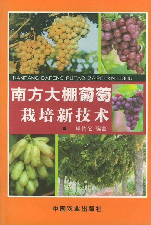 春棚葡萄种植技术揭秘：如何提升产量与品质？