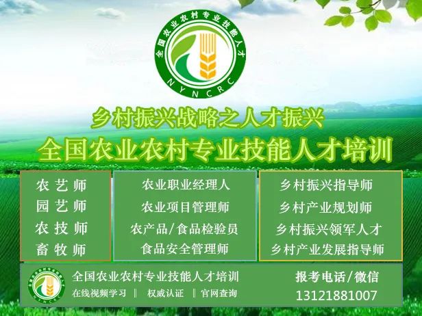 中央预算内投资农业建设项目储备_2025农产品产地初加工补助项目_2022-2025年农业建设项目