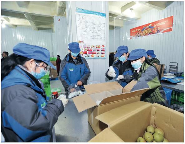农产品冷链物流水平_冷链物流成本高问题_生鲜农产品冷链物流发展现状