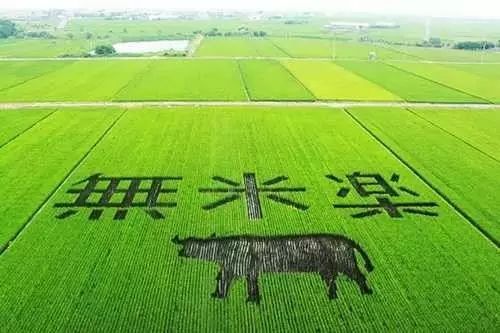 中国品牌农业发展阶段_品牌农产品市场空间_农产品资源整合