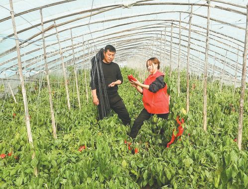 农村养殖种植新趋势：绿色高效，未来已来