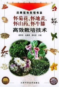 地黄种植：揭秘高效种植技术与管理之道